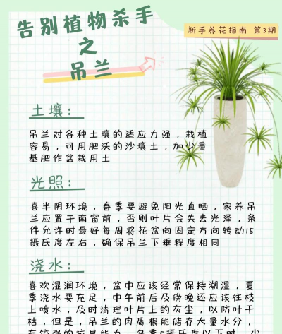 庭院景观绿化设计，打造舒适空间，提升生活品质