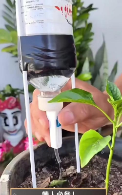 家庭养花用生根粉