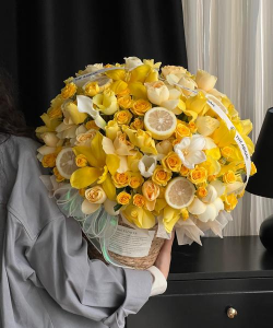 黄色庆典怎样养花