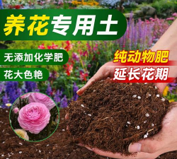 家庭养花用生根粉