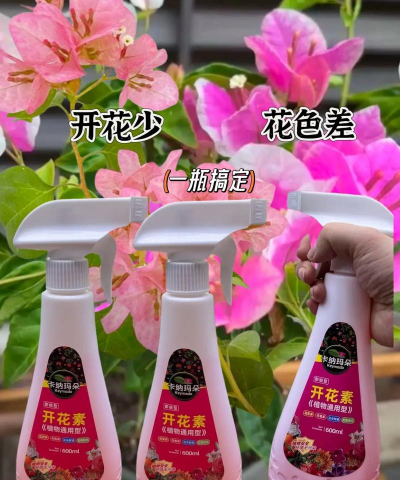 家庭养花用生根粉