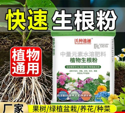 家庭养花用生根粉