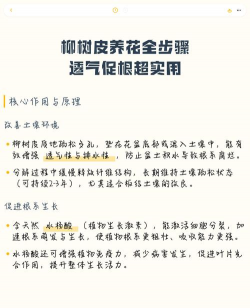 家庭养花用生根粉