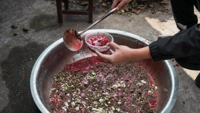 家庭养花用生根粉