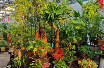 绿化景观设计，提升环境品质，创造宜人空间