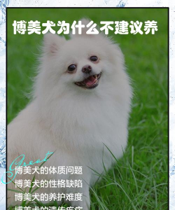 无土栽培技术，突破土壤限制，开启高效种植新篇章