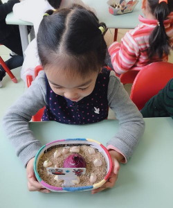 无土栽培技术，突破土壤限制，开启高效种植新篇章