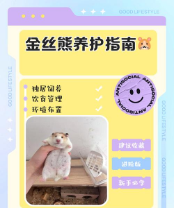 金丝熊怎么养花