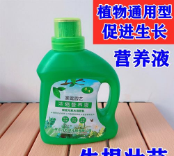 家庭养花用生根粉