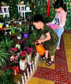 家庭养花用生根粉