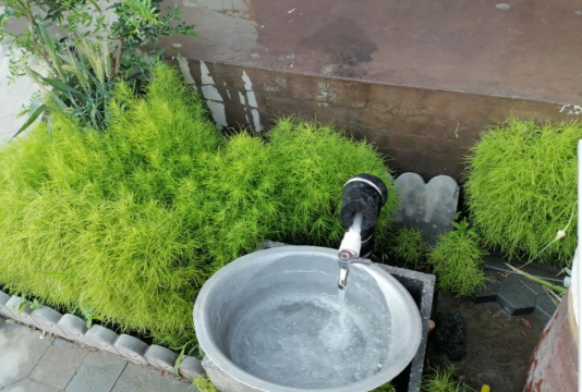 家庭养花用生根粉