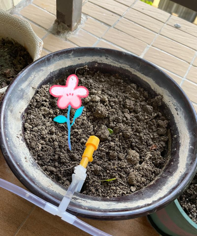 家庭养花用生根粉