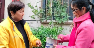 家庭养花用生根粉