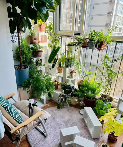 家庭养花用生根粉