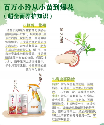 家庭养花用生根粉