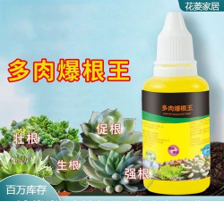 家庭养花用生根粉