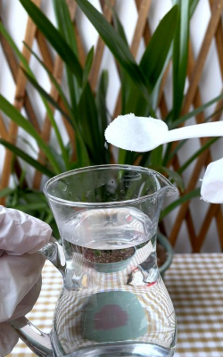 家庭养花用生根粉