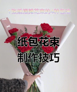 纸箱养花改造教程