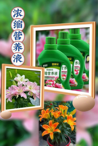 家庭养花用生根粉