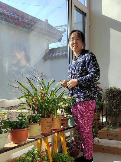 家庭养花用生根粉