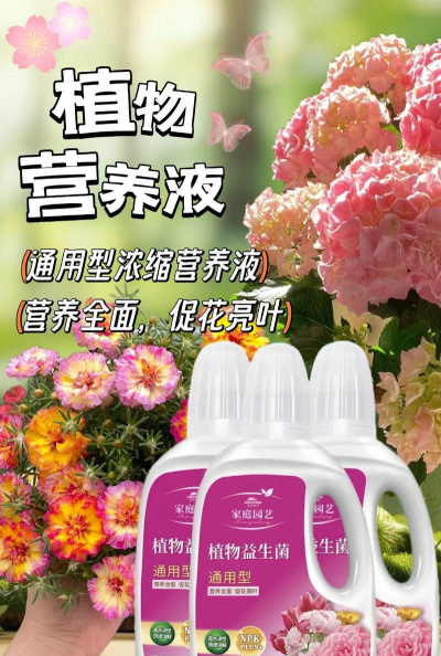 家庭养花用生根粉