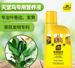 家庭养花用生根粉