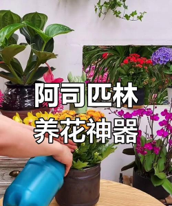 家庭养花用生根粉