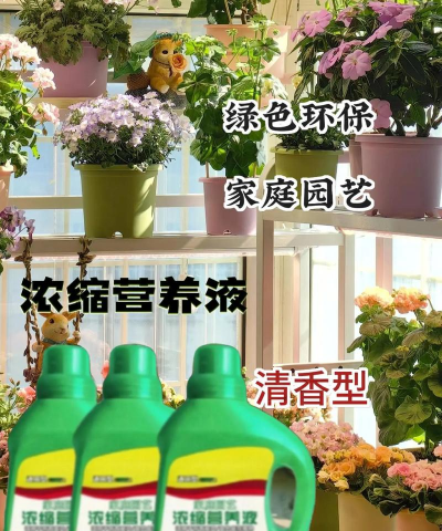 家庭养花用生根粉