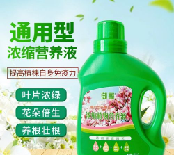 家庭养花用生根粉