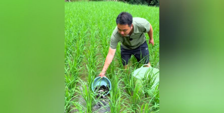 家庭养花用生根粉