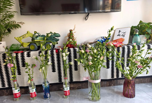 家庭养花用生根粉