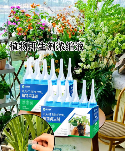 家庭养花用生根粉