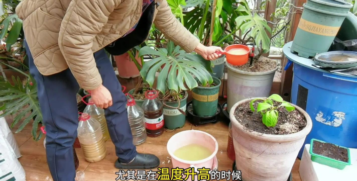 别墅园林绿化设计，打造私密空间，提升居住品质