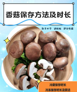 香菇怎么发酵养花