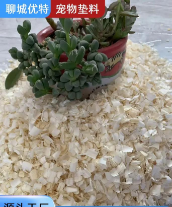 杨木刨花养花多久