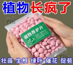 家庭养花用生根粉