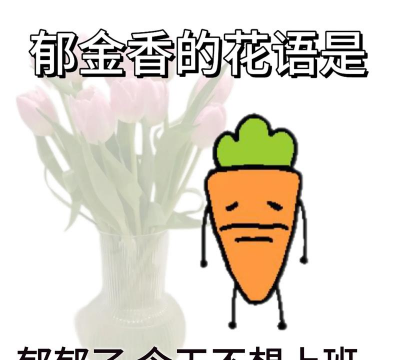 绿化景观设计，提升环境品质，创造宜人空间