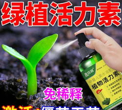 家庭养花用生根粉