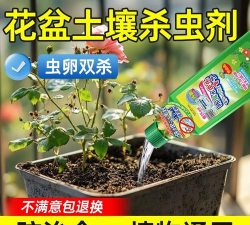 家庭养花用生根粉