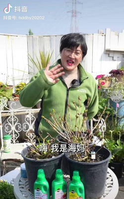 家庭养花用生根粉