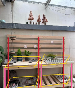 家庭养花用生根粉