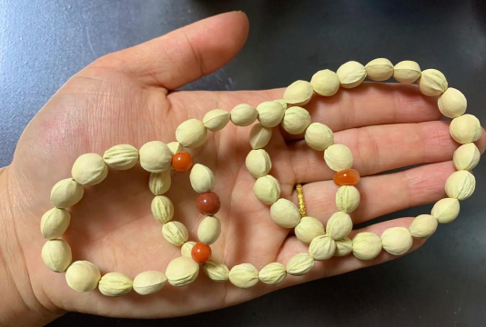 樱桃核养花好吗