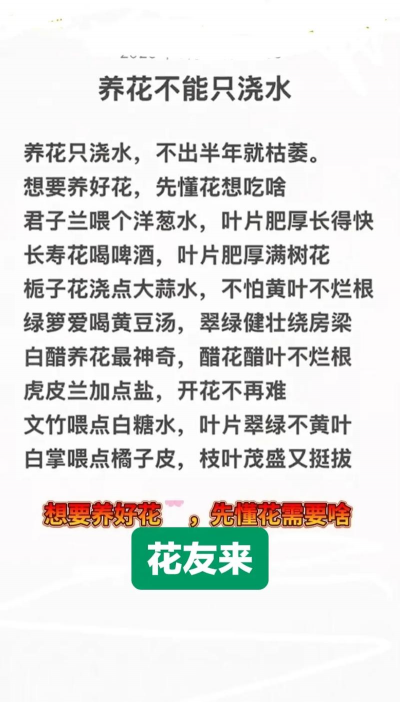 家庭养花用生根粉