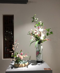 博物馆养花 博物馆养花