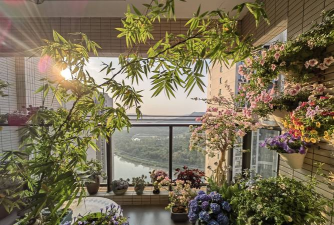 家庭养花用生根粉