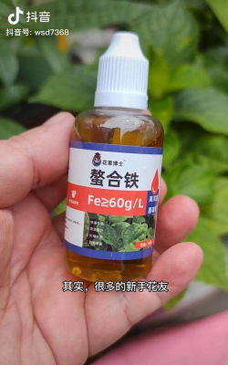家庭养花用生根粉