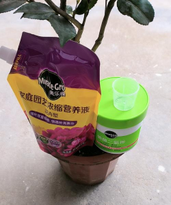 家庭养花用生根粉