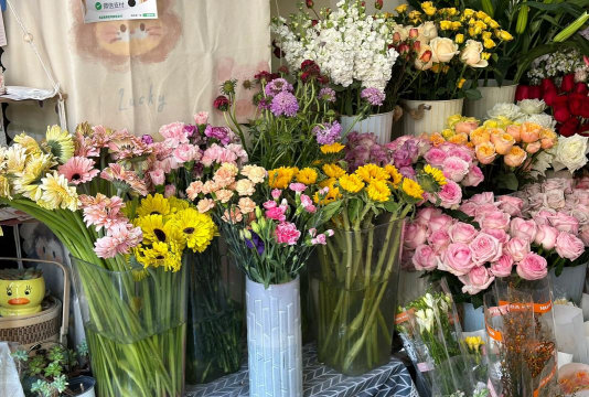 家庭养花用生根粉