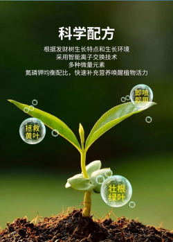 家庭养花用生根粉