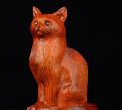 如何养花梨猫咪